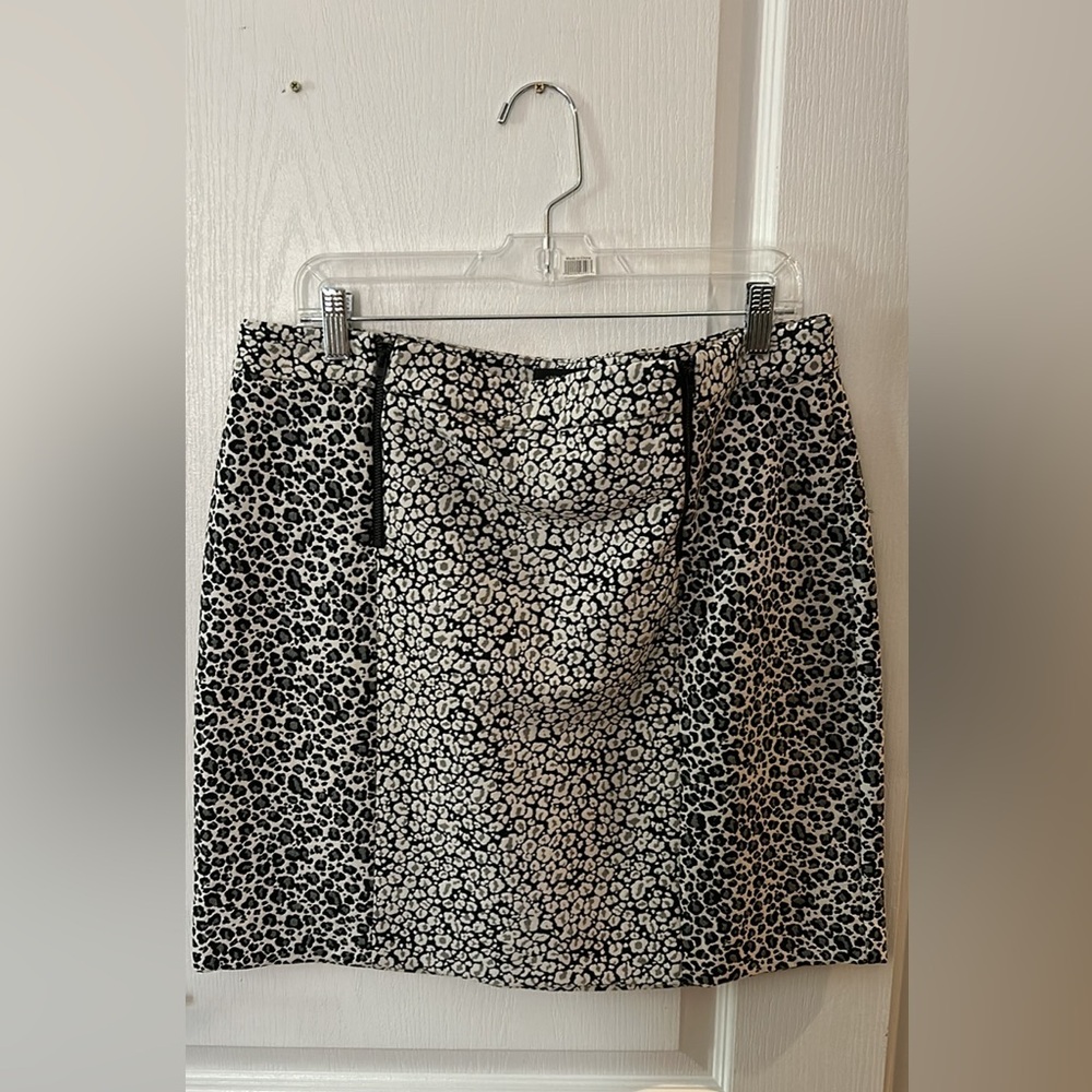 Ann Taylor Skirt